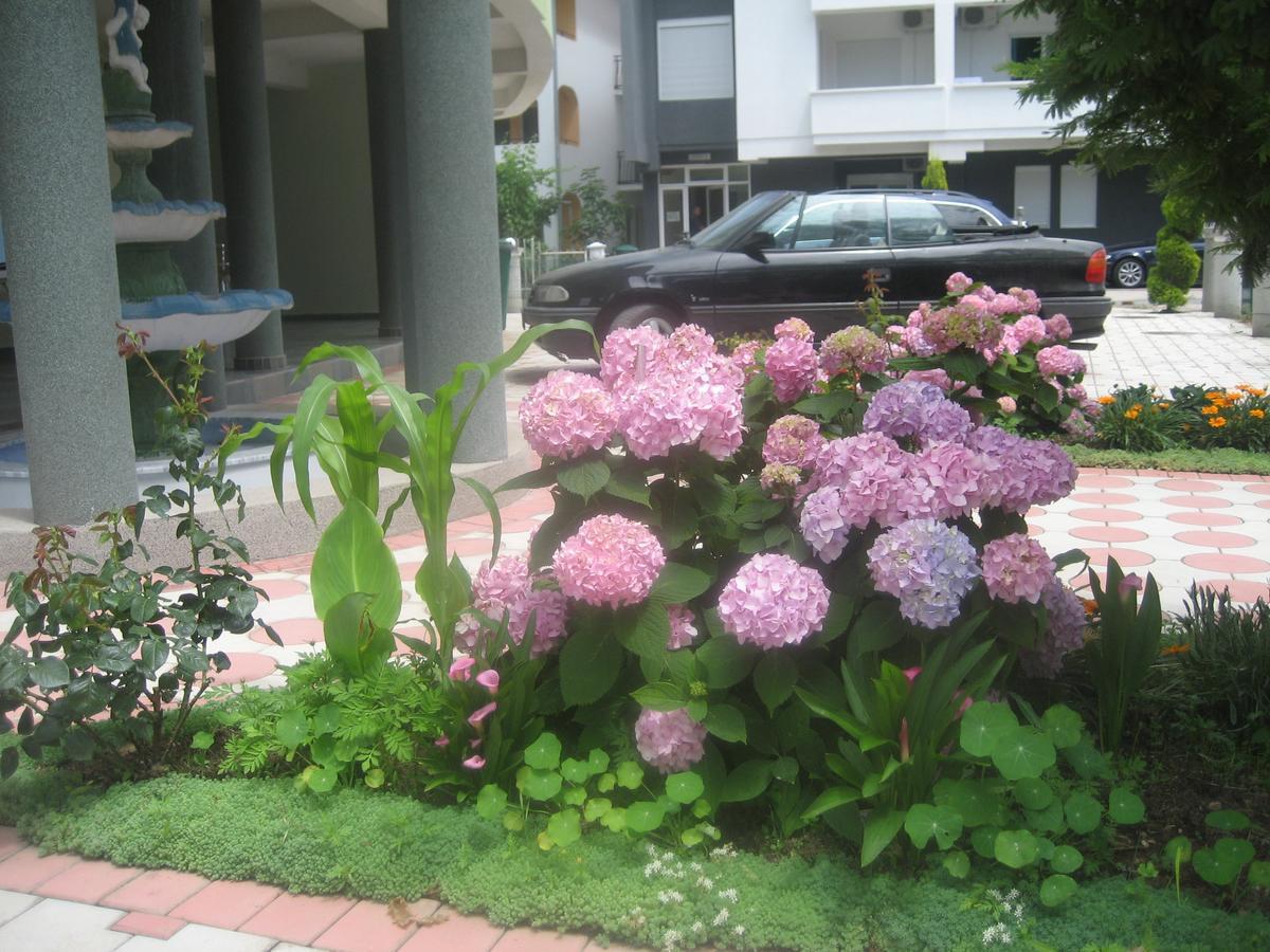 Guest House Vila Mimoza Ούλτσιν Εξωτερικό φωτογραφία