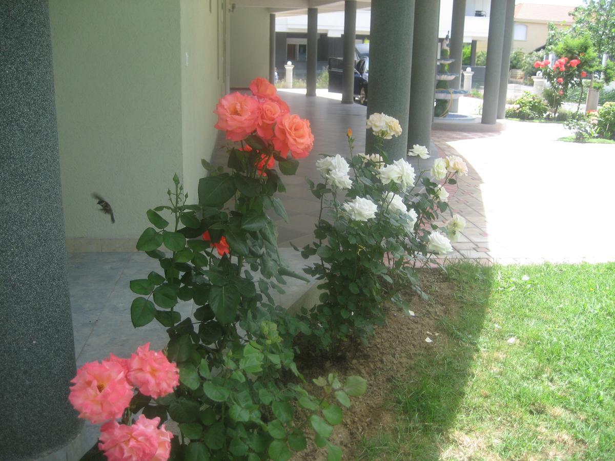 Guest House Vila Mimoza Ούλτσιν Εξωτερικό φωτογραφία
