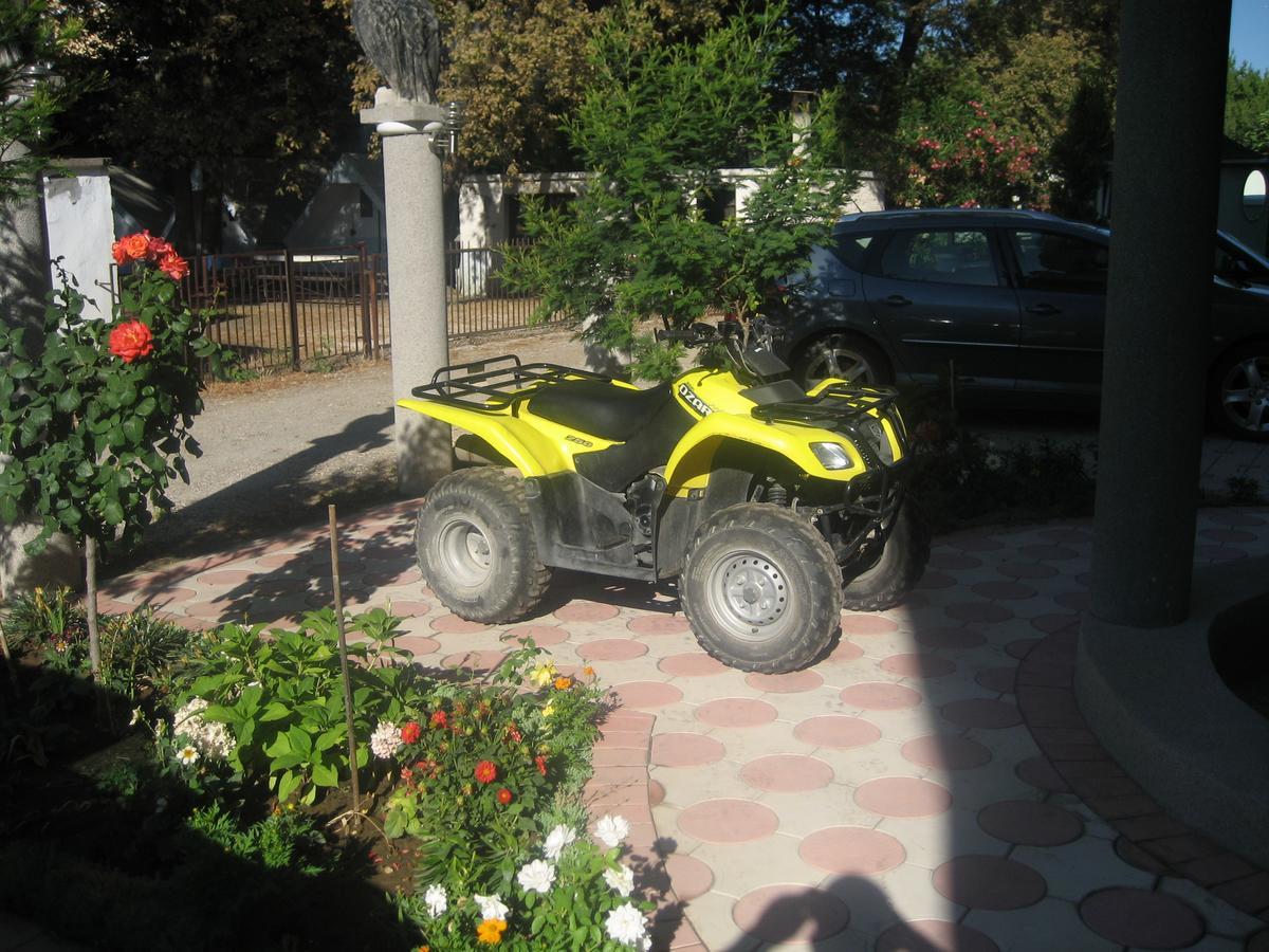 Guest House Vila Mimoza Ούλτσιν Εξωτερικό φωτογραφία